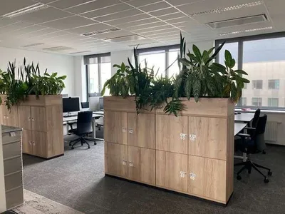 Gewerbeimmobilie mieten in Wien – 318 m² – Bild 4 von 14