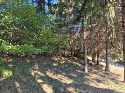 Grundstück kaufen in Wiener Neustadt Land – 1 893 m², € 217.191 – Bild 5 von 10