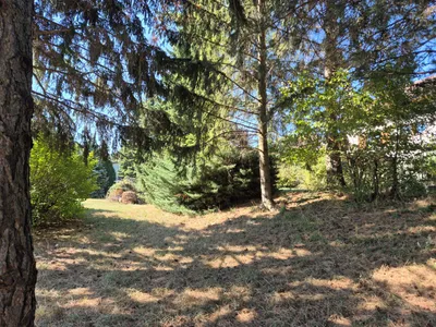 Grundstück kaufen in Wiener Neustadt Land – 1 893 m², € 217.191 – Bild 6 von 10