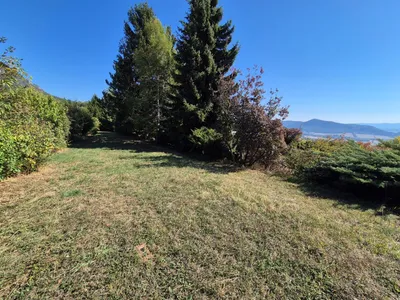 Grundstück kaufen in Wiener Neustadt Land – 1 893 m², € 217.191 – Bild 2 von 10