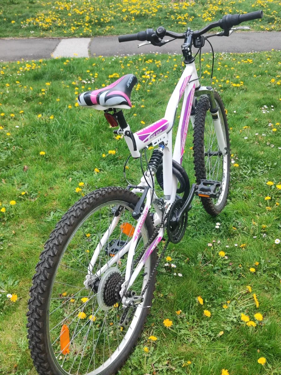 rennrad moser Francesco Moser SLX – Der ReCyclist main image 1