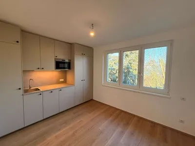1-Zimmer-Wohnung mieten in Linz – 17 m², € 490