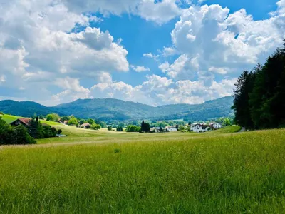 Grundstück kaufen in Vöcklabruck – 3 382 m², € 525.000 – Bild 4 von 6