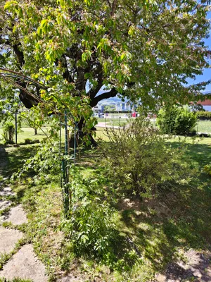 5-Zimmer-Haus mieten in Wolfsberg – 130 m², € 880 – Bild 6 von 23