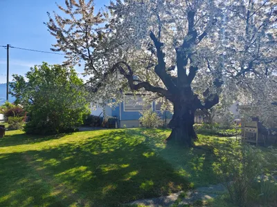 5-Zimmer-Haus mieten in Wolfsberg – 130 m², € 880 – Bild 12 von 23