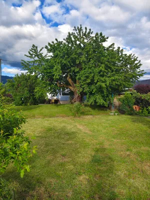 5-Zimmer-Haus mieten in Wolfsberg – 130 m², € 880 – Bild 3 von 23
