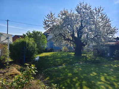 5-Zimmer-Haus mieten in Wolfsberg – 130 m², € 880 – Bild 11 von 23