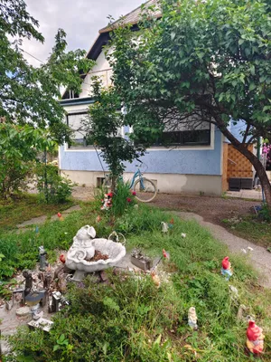 5-Zimmer-Haus mieten in Wolfsberg – 130 m², € 880 – Bild 4 von 23