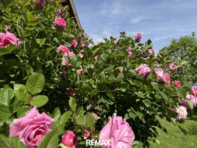 3-Zimmer-Haus kaufen in Südoststeiermark – 68 m², € 310.000 – Bild 11 von 39
