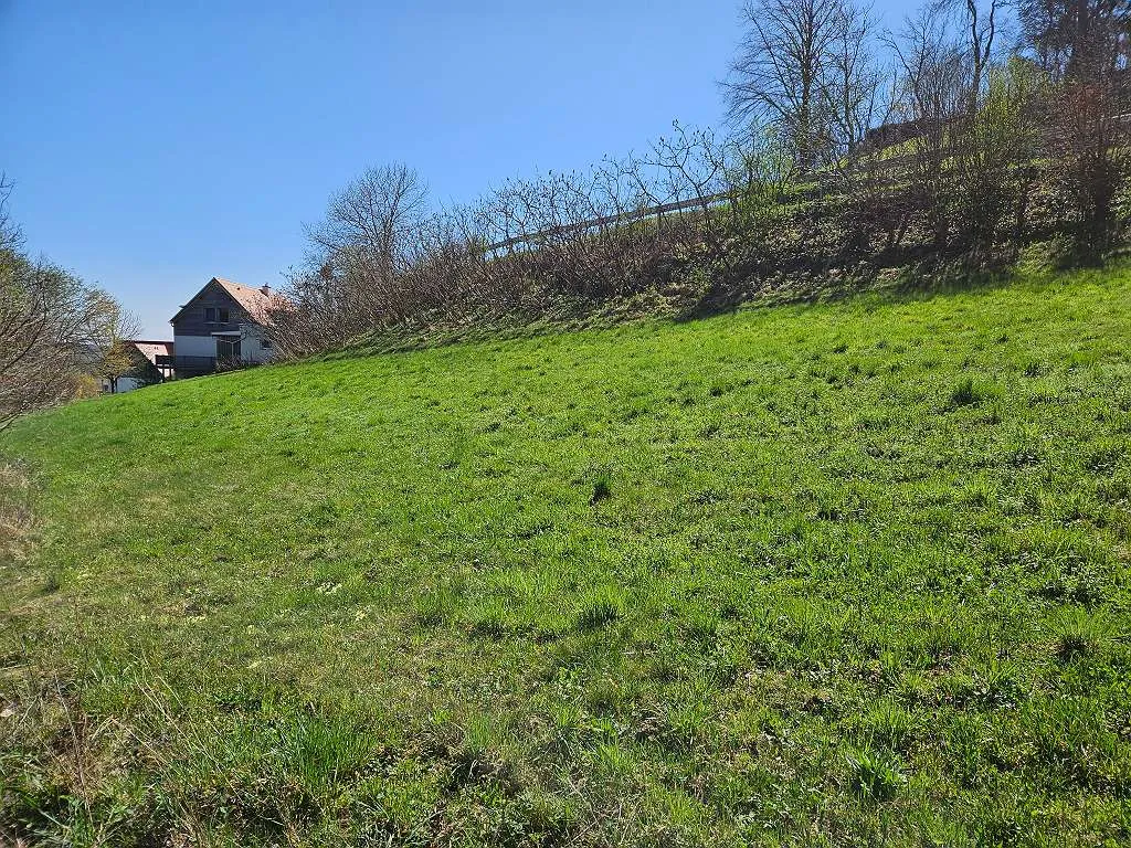 Großzügiges Baugrundstück in ruhiger Lage - Ansicht 2