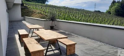 10-Zimmer-Immobilie kaufen in Jennersdorf – 570 m², € 2.670.000 – Bild 10 von 27