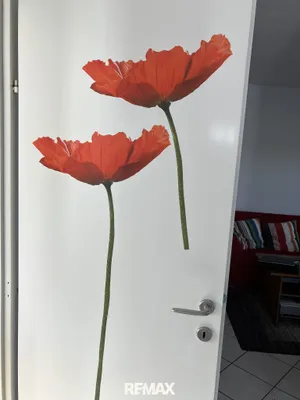 3-Zimmer-Haus kaufen in Bruck an der Leitha – 41 m², € 75.000 – Bild 9 von 20