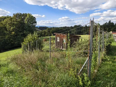 6-Zimmer-Haus kaufen in Leibnitz – 156 m², € 585.000 – Bild 4 von 27