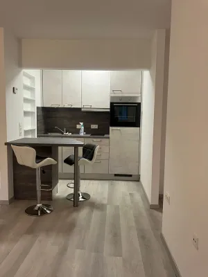 Wohnung mieten in Innsbruck-Land – 45 m², € 700 – Bild 3 von 10