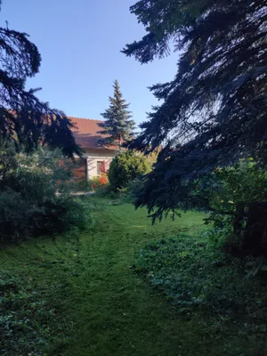 Immobilie kaufen in Horn – 120 m², € 250.000 – Bild 4 von 19