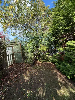 3-Zimmer-Wohnung mieten in Wels-Land – 60 m², € 850 – Bild 2 von 16