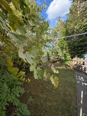 3-Zimmer-Wohnung mieten in Wels-Land – 60 m², € 850 – Bild 3 von 16