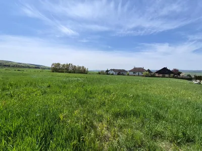 Grundstück kaufen in Horn – 7 627 m², € 198.000 – Bild 3 von 5