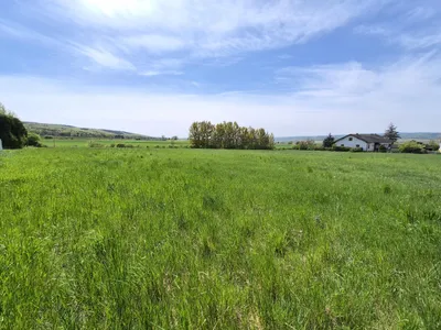 Grundstück kaufen in Horn – 7 627 m², € 198.000 – Bild 4 von 5