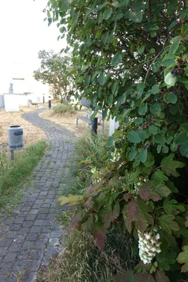3-Zimmer-Wohnung mieten in Wien – 84 m², € 1.700 – Bild 22 von 23