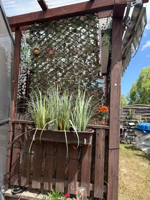 2-Zimmer-Immobilie kaufen in Mattersburg – 30 m², € 1.000 – Bild 7 von 16