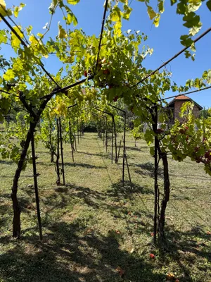 Wohnung kaufen in Österreich – 120 m², € 50.000 – Bild 7 von 9