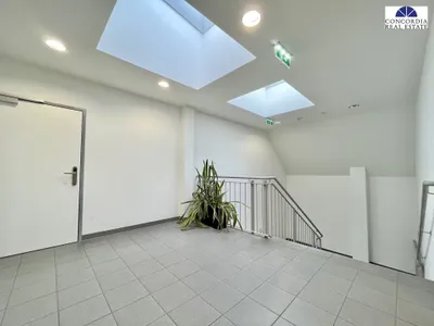 Gewerbeimmobilie mieten in Wien – 1 612 m² – Bild 16 von 18
