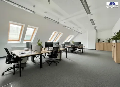 Gewerbeimmobilie mieten in Wien – 1 612 m² – Bild 3 von 18