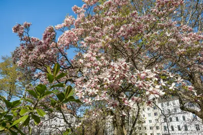 3-Zimmer-Wohnung kaufen in Wien – 116 m², € 1.090.000 – Bild 14 von 17