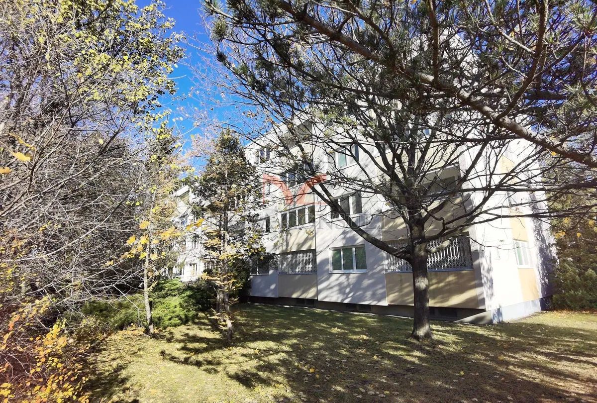 Wohnung – Maria Enzersdorf - Ansicht 3