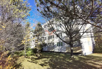 3-Zimmer-Wohnung mieten in Mödling – 92 m², € 1.090 – Bild 3 von 13