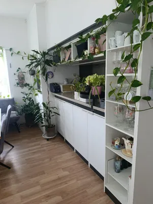 4-Zimmer-Wohnung mieten in Sankt Pölten Land – 93 m², € 905 – Bild 2 von 23