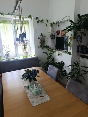 4-Zimmer-Wohnung mieten in Sankt Pölten Land – 93 m², € 905 – Bild 4 von 23