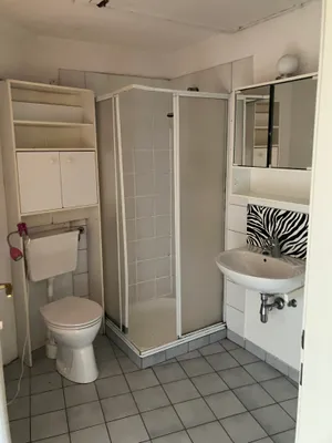 1-Zimmer-Wohnung mieten in Spittal an der Drau – 39 m², € 550 – Bild 5 von 6