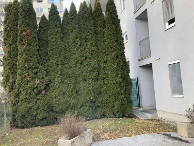 1-Zimmer-Wohnung mieten in Graz – 32 m², € 450 – Bild 5 von 16