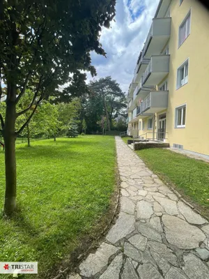 1-Zimmer-Wohnung mieten in Wien – 25 m², € 790 – Bild 6 von 8