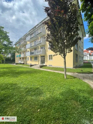 1-Zimmer-Wohnung mieten in Wien – 25 m², € 790 – Bild 5 von 8