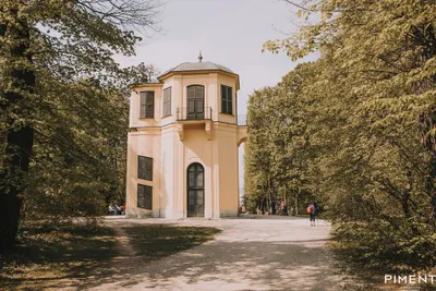 2-Zimmer-Wohnung kaufen in Wien – 33,92 m², € 235.000 – Bild 12 von 14