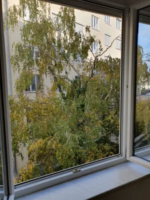 1-Zimmer-Wohnung mieten in Baden – 28 m², € 650 – Bild 13 von 14