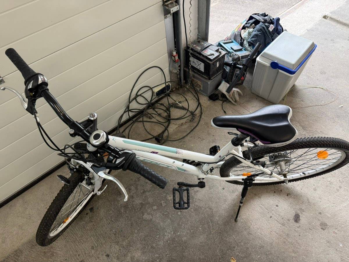 Damenfahrrad X-Fact MTB 26 Zoll,  70,- (4131 Obermhl an der Donau) -  willhaben