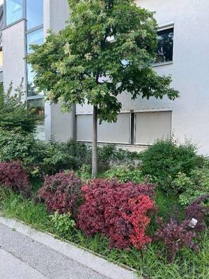 Ruhige 3-Zimmer-Gartenwohnung mit Tiefgarage in 1220 Wien - Polgarstraße-Wohnfläche 67,57m2, Garten 78,89m2, Baujahr 2007