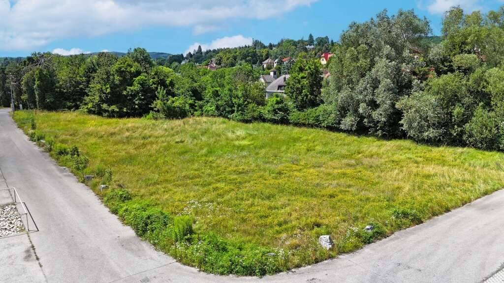 Betriebsbaugrund im Ortszentrum Pressbaum/Tullnerbach - Ansicht 2