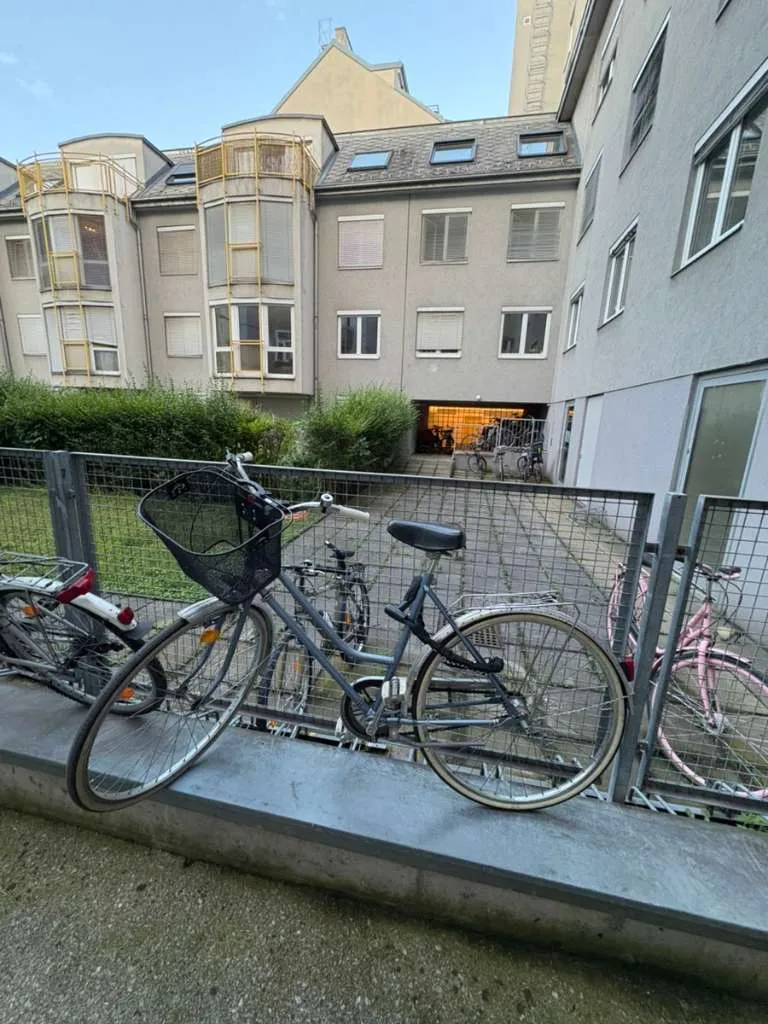 fahrradhelm katzenohren MHJY Kinder Mädchen 8-14 Jahre Kinderhelm Skaterhelm mit DIY Katzenohren,Verstellbarer Leichter Schutzhelm Scoot and Ride Helm für Fahrrad <60 km Choose Option:Women's Cycling Jersey Maroon/White SM Kinderzimmer: Regale für Spielzeugautos