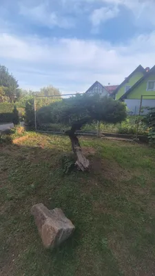 Gewerbeimmobilie kaufen in Graz-Umgebung – 177 m², € 450.000 – Bild 3 von 9