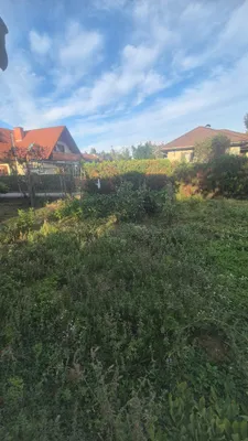 Gewerbeimmobilie kaufen in Graz-Umgebung – 177 m², € 450.000 – Bild 4 von 9