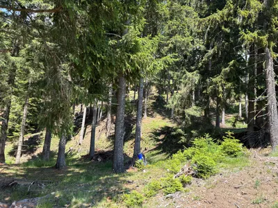 Grundstück kaufen in Sankt Veit an der Glan – 69 156 m², € 210.000 – Bild 13 von 13