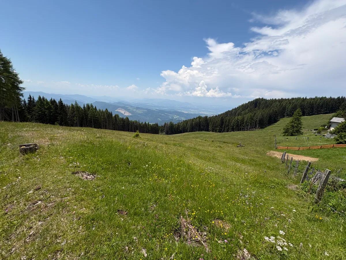 6.92 ha Almfläche auf der Saualpe-Öffentliches Bieterverfahren - Ansicht 3