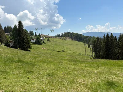 Grundstück kaufen in Sankt Veit an der Glan – 69 156 m², € 210.000 – Bild 8 von 13
