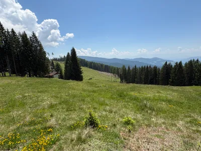 Grundstück kaufen in Sankt Veit an der Glan – 69 156 m², € 210.000 – Bild 11 von 13