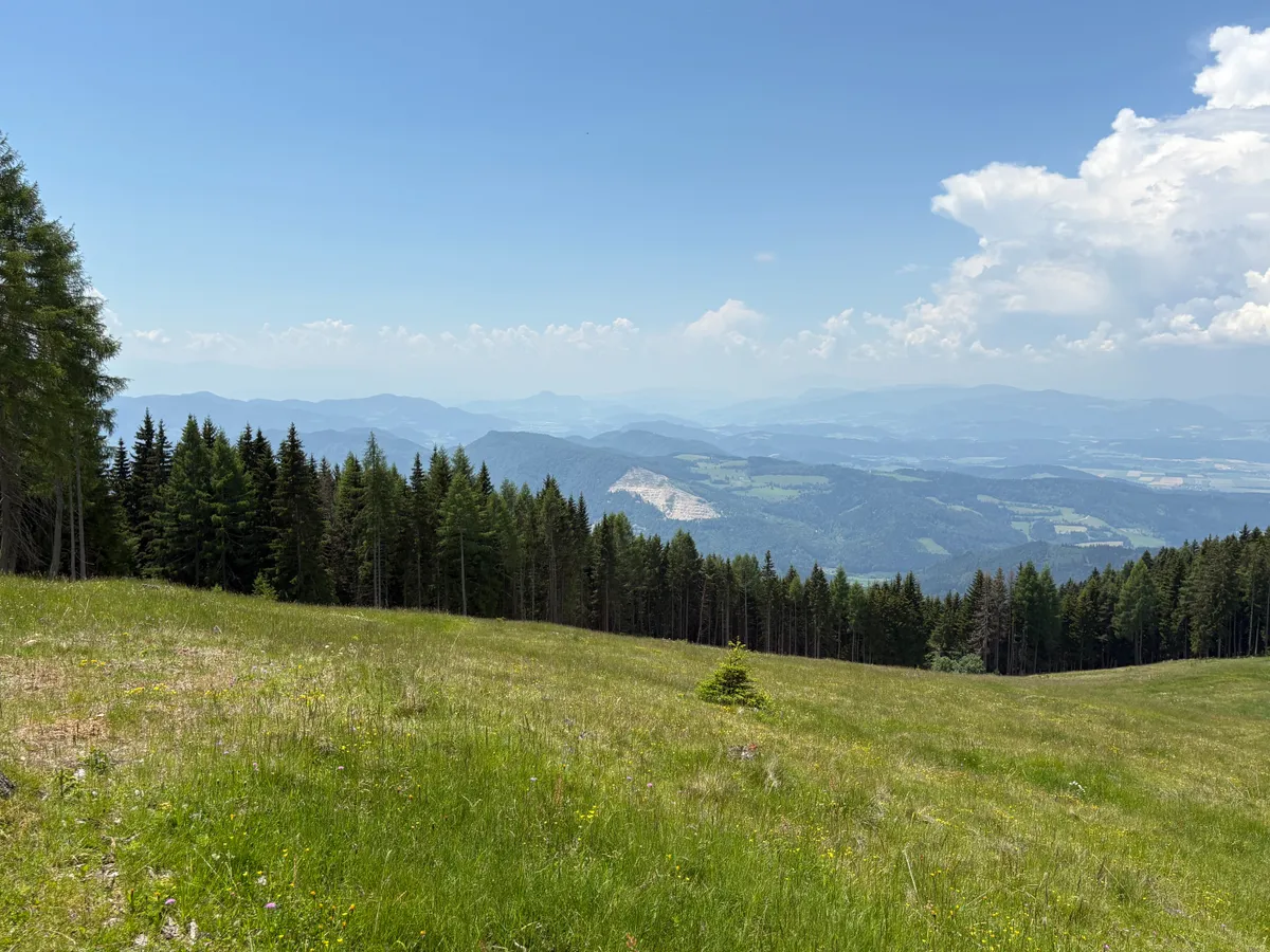 6.92 ha Almfläche auf der Saualpe-Öffentliches Bieterverfahren - Ansicht 2